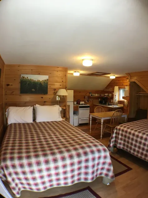 Studio Suite 1 with full kitchen  - Image 1