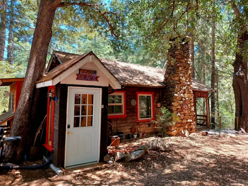 Peaceful 1920s Cozy Cabin snuggled in 100 ft Pines -Palomar Mt, Bailey Meadows - Image 1