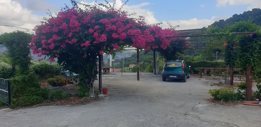 Casa Rurale Nonna Pina - Image 1