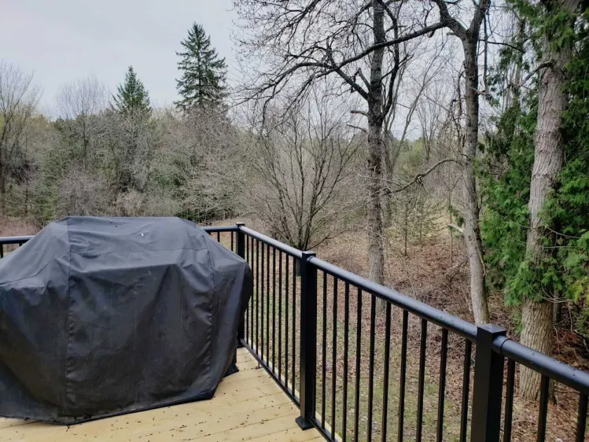 Gorgeous cottage is only a two hour from Toronto - Image 1