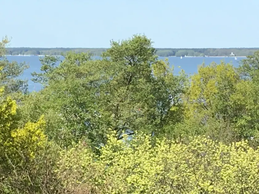 Steinhude mit Meerblick - Image 1