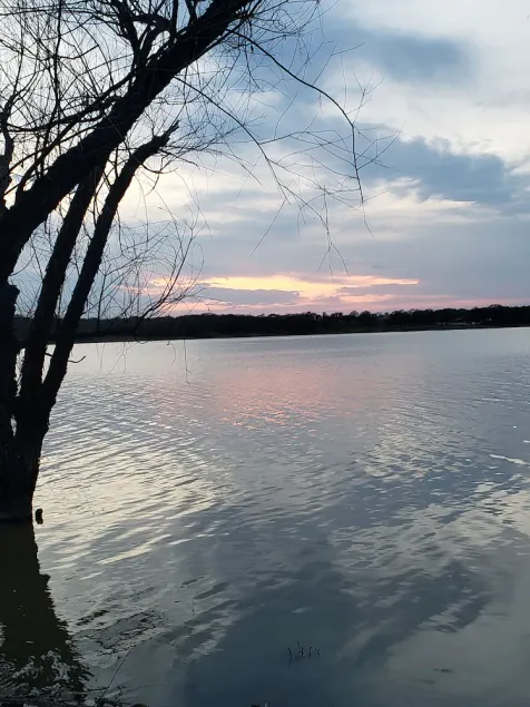 Wunderschönes verstecktes Juwel am See Studio - Image 1