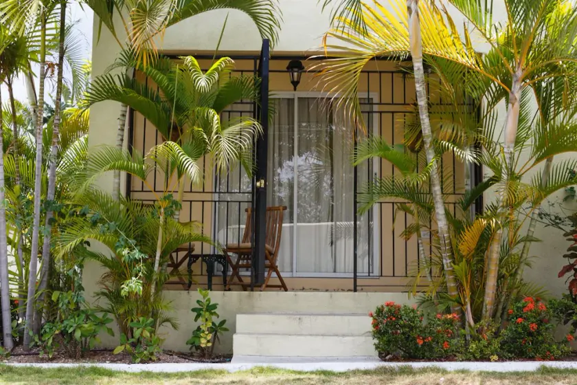New Kingston Guest Apartment VII - Image 1