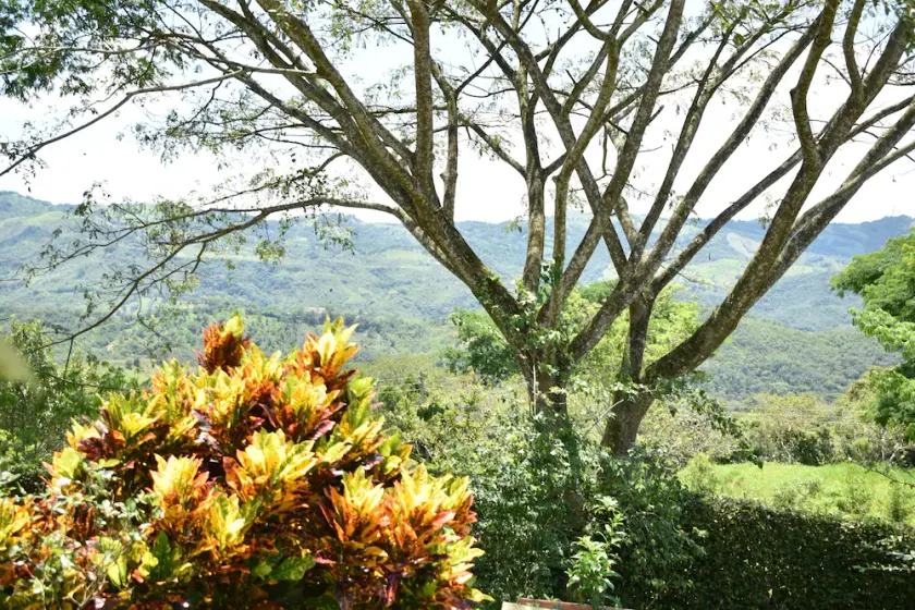 Country House Villa del Lago - Image 1