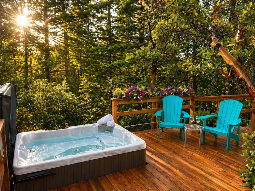 Forest Retreat • Hot Tub & Sauna by Thetis Lake - Image 1
