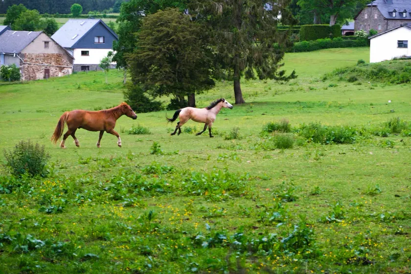 Beautifully renovated farmhouse of 1872. Cost for energy consumption post-stay - Image 1