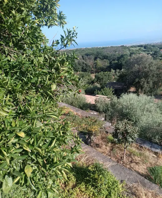 Villa Aresco - Image 1