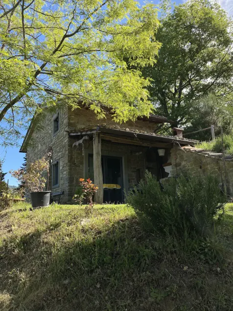  The cottage in the woods - Image 1