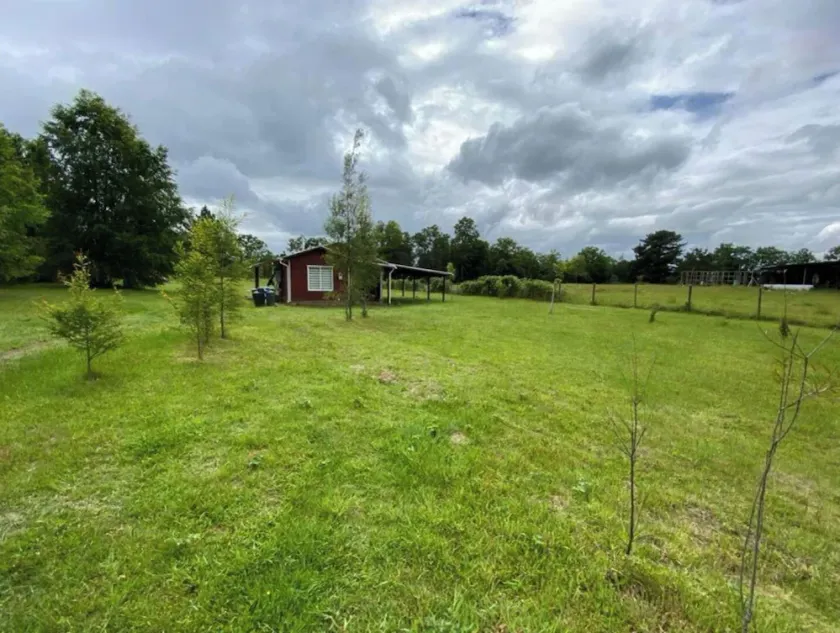 Country cabin with WIFI, total disconnection 7 minutes from Villarrica - Image 1