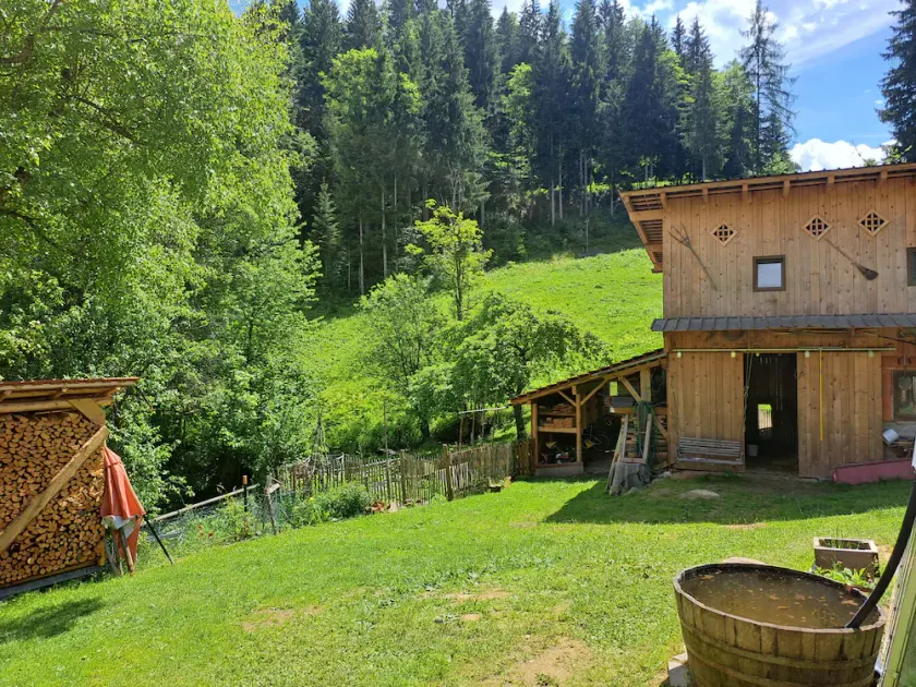 Hüthis Waldidylle - Image 1