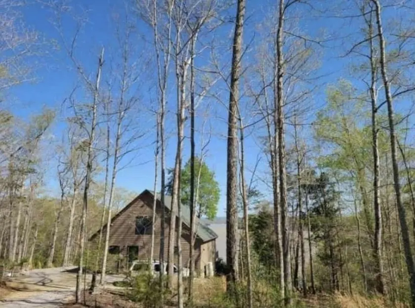 Spektakuläre Hütte am Lake Cumberland - Image 1