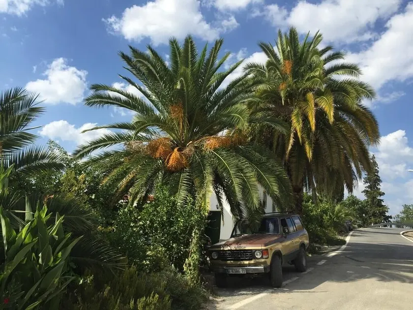 Cortijo located in the middle of Sierra Súbetica with incredible views and landscapes - Image 1