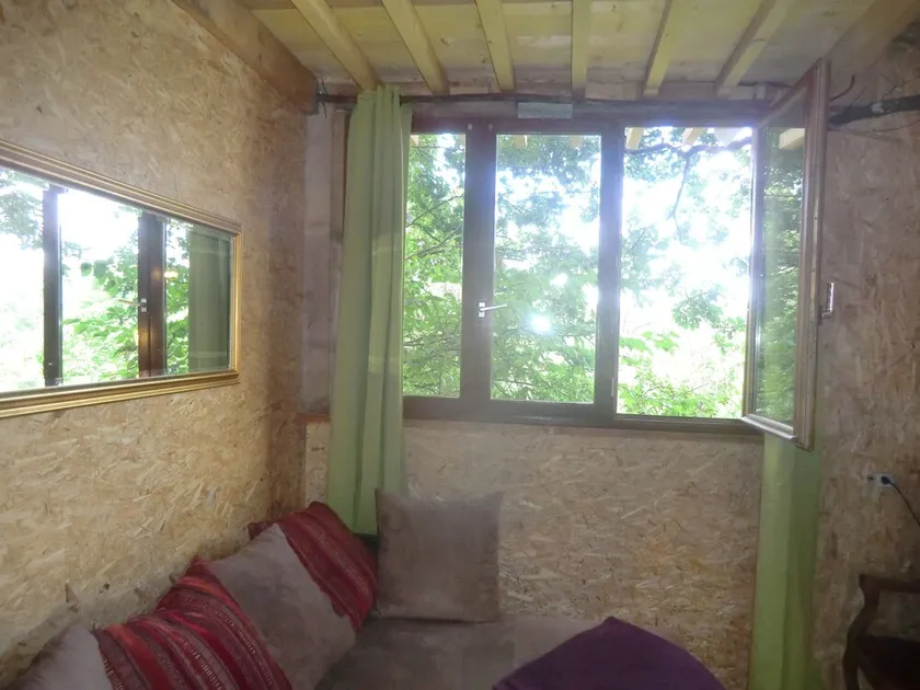 Cabin perched in the trees with jacuzzi and swimming pool - Image 1