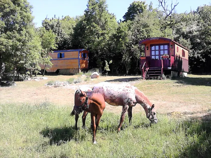 Trailer leje mellem Cevennes og Cirkus Navacelle La Bleue - Image 1