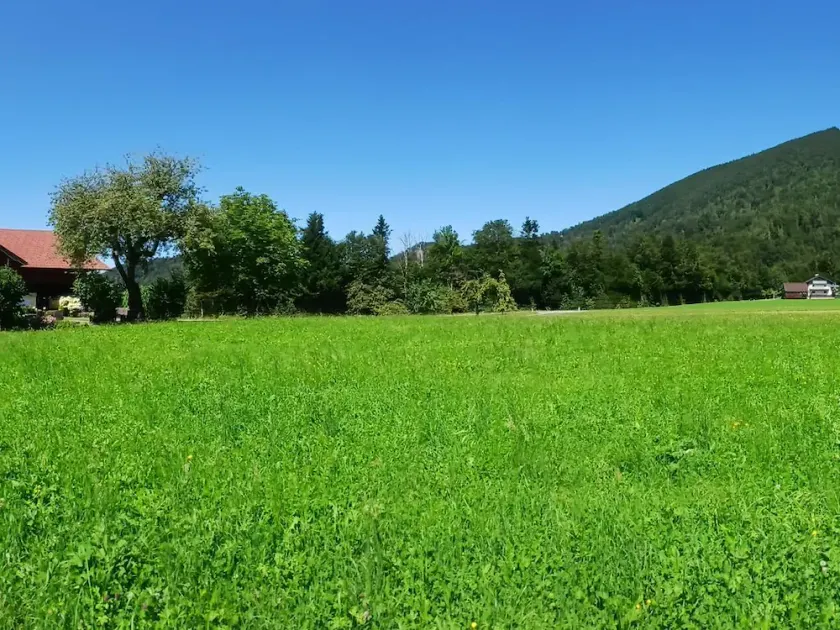 Organic Farm Vordergschwandtgut - Lejlighed - Image 1