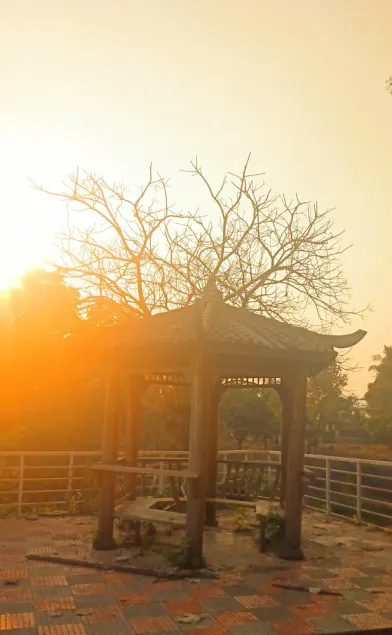 An abode in the nest of nature... A home away from the hustle of the city... - Image 1