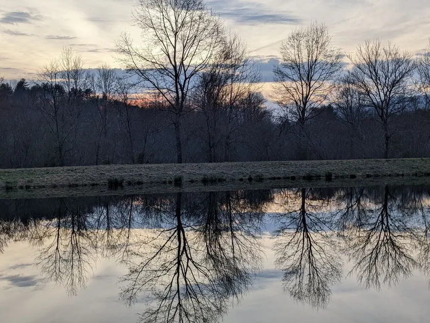 Creekfront! Private ponds for fishing! Mountain views & trails. Pet-friendly - Image 1