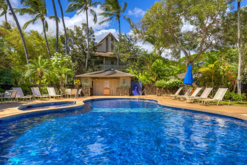 Tropical Treehouse Near the Beach - Image 1