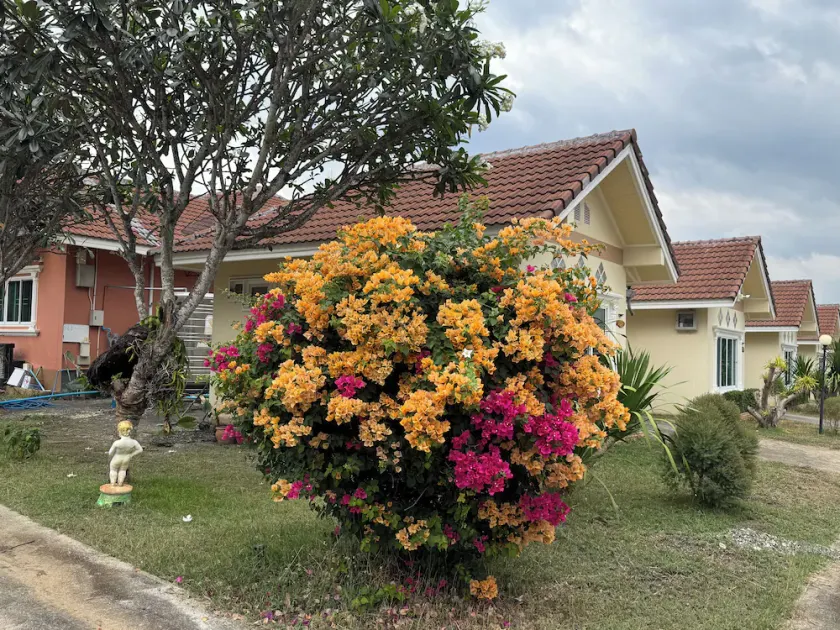 Thanawan Resort - Image 1
