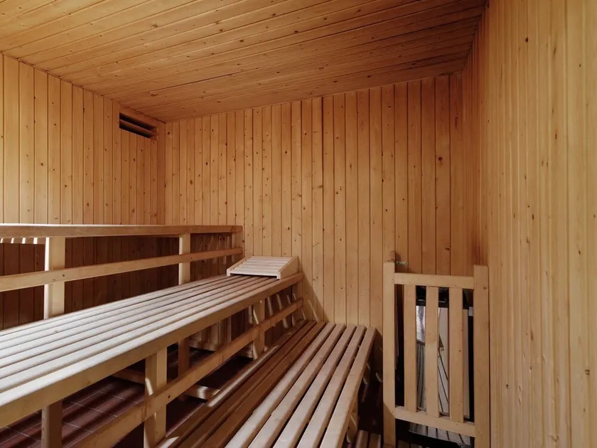 Forest Getaway in Berlin - Image 1