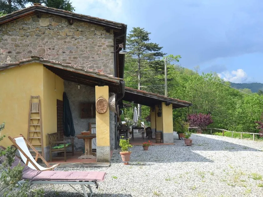 Olivi Giallo - Image 1