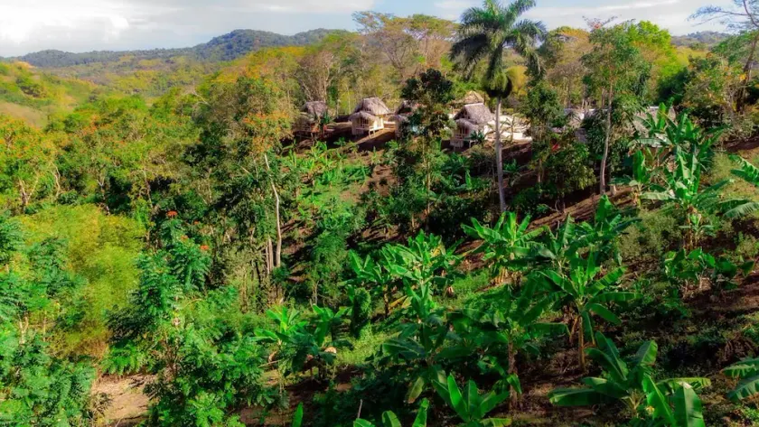 Romantic Cottages in Jamaican Hills w/ hiking trails and Fruit trees on property - Image 1