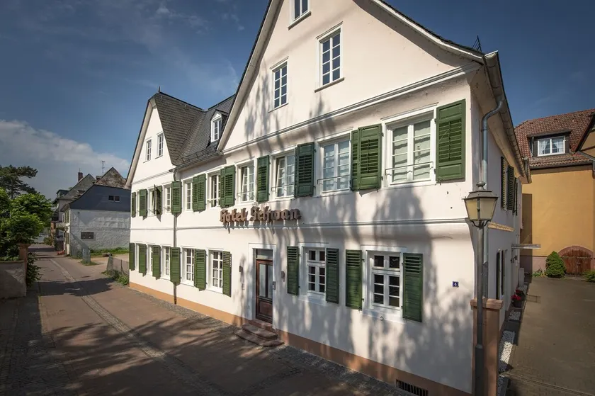 Vacations in the Rheingau Monument near the beach - Hotel Schwan - Image 1