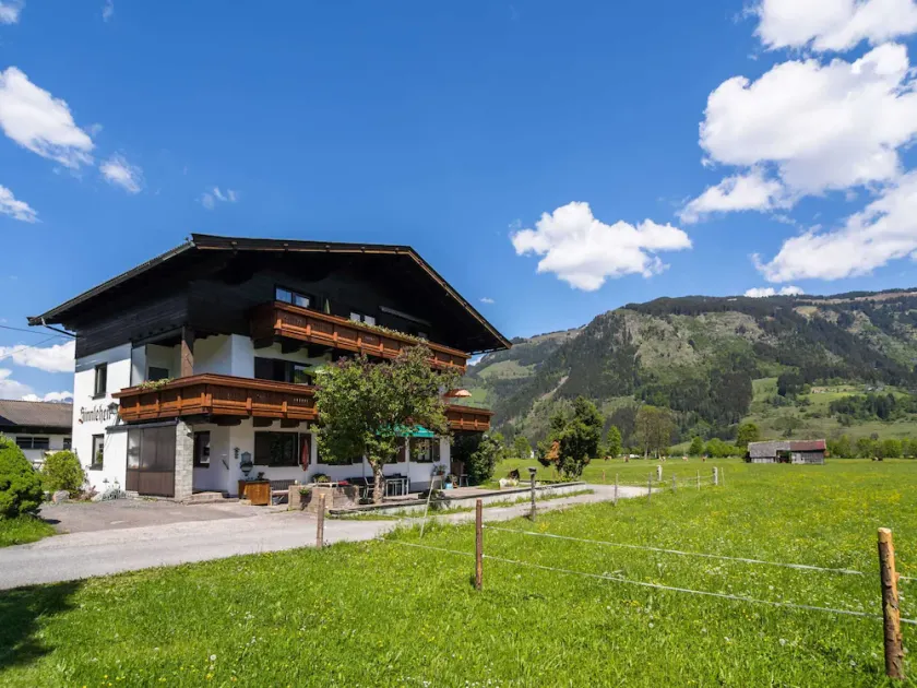 Contemporary Apartment in Maishofen Near Ski Area - Image 1