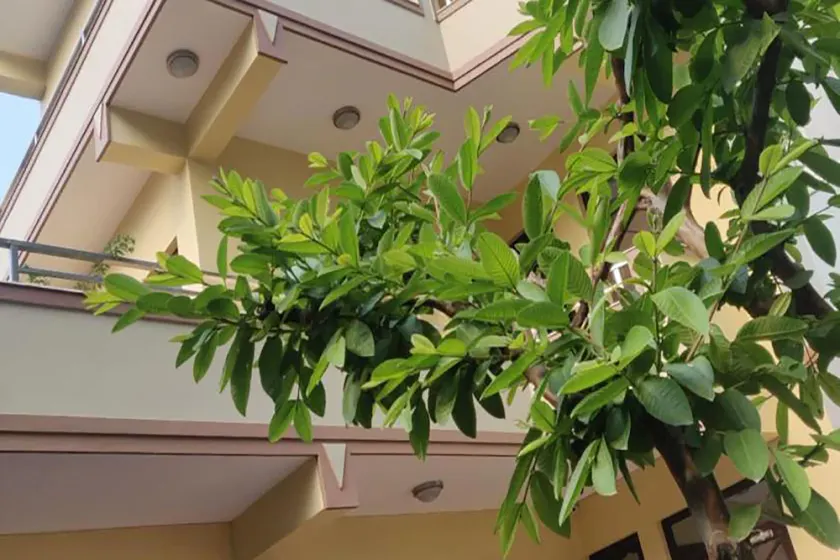 Samakhusi deluxe apartment - Image 1