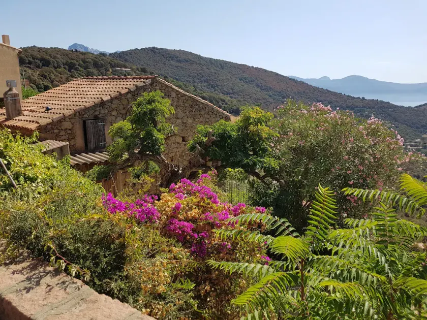 Traditional house, spectacular view of the Gulf of Porto - Image 1