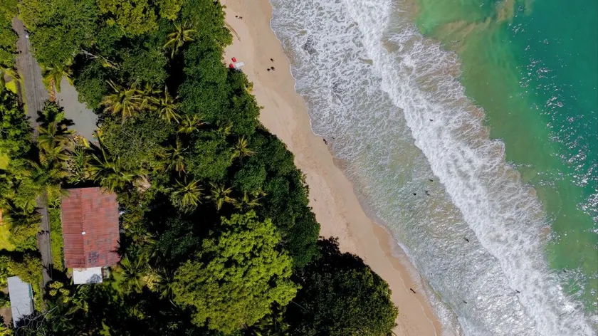 Our Beachfront Bungalow - Image 1