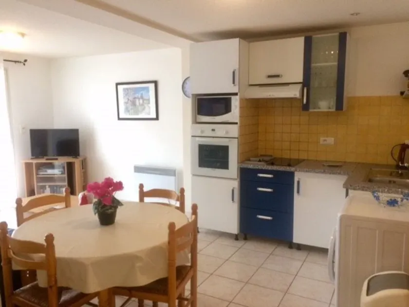 Charmant F2 avec Terrasse, Clim, Parking, Animaux OK - Amélie-les-Bains - Image 1
