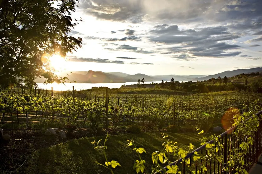 Splendida suite su Gjoa's Vineyard situata nel cuore della panchina di Naramata - Image 1