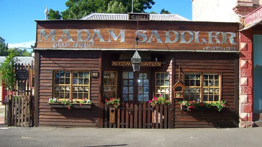 Madam Saddler - On Fraser Clunes - Image 1