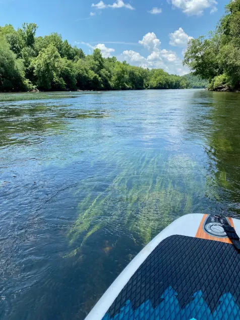 Relax on the River - Image 1