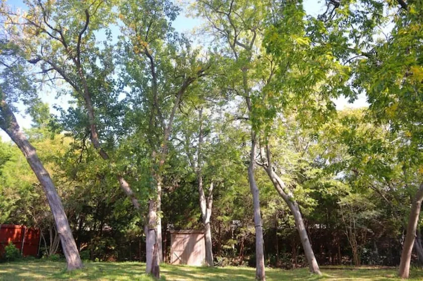 Perfect place for relaxing in the heart of Murphy - Image 1