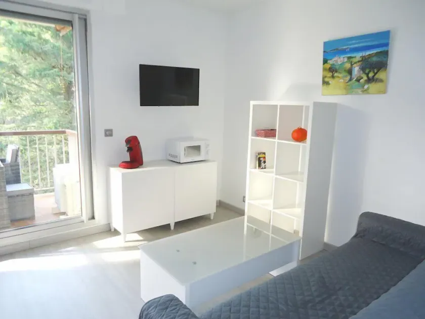 Bel appartement 2 pièces climatisé 500m centre - Image 1
