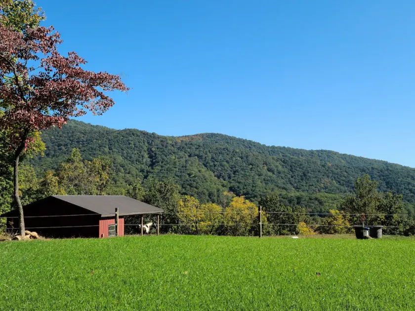 Scenic mountain getaway with a firepit and amazing views of mountains and horses - Image 1