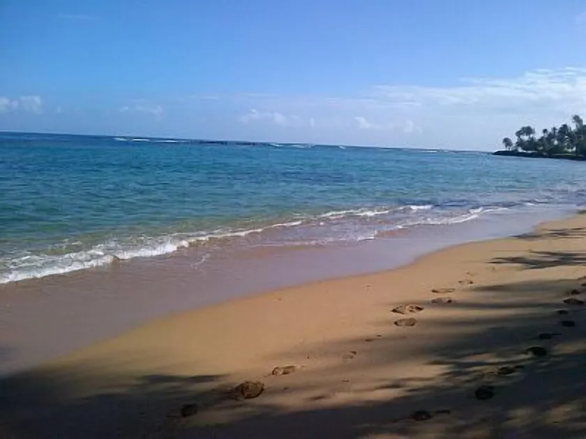 Villa tranquila On Dorado Reef - Image 1