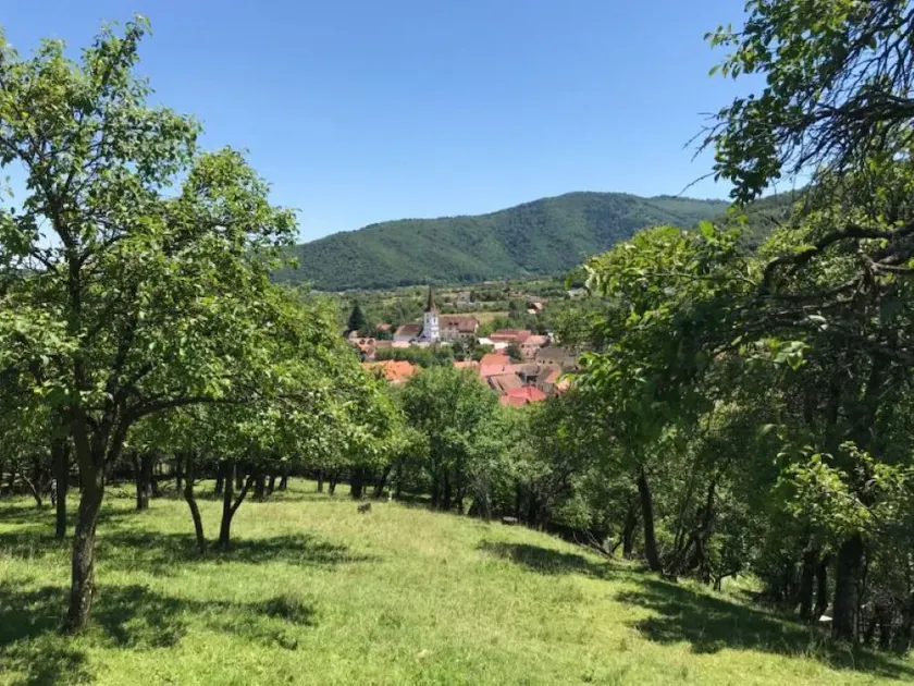 Ländliches Einfamilienhaus, neu renoviert, in einem authentischen rumänischen Dorf gelegen - Image 1