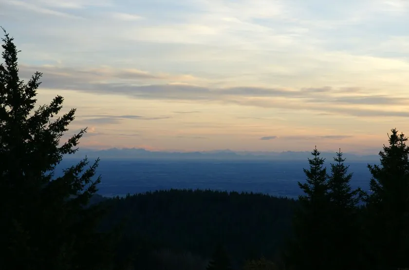 ALPENBLICK: Urlaub im Bergwald - mit großem Hallenbad & unvergesslichem Panorama - Image 1