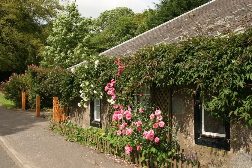 Old Toll Cottage - Härlig restaurerad stuga - stor trädgård Minst 3 dagar - Image 1