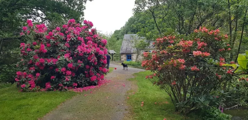 LE MOULIN D'AIROU - Image 1