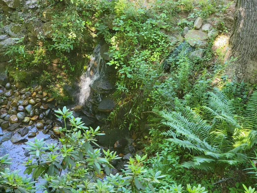1660 Guest House; Waterfall, Creek, Large Deck, Fire Ring - Image 1
