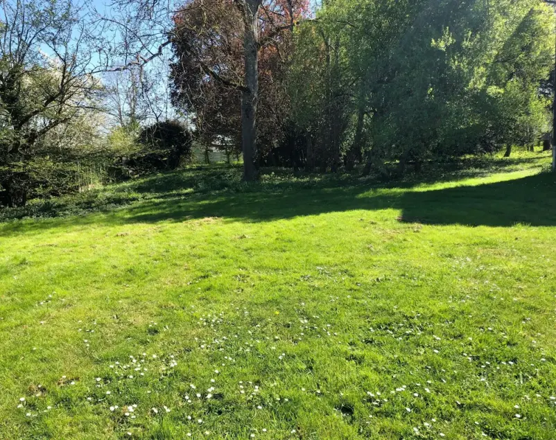Charmerende leje i en palæ med park og træ på 1 ha - Image 1
