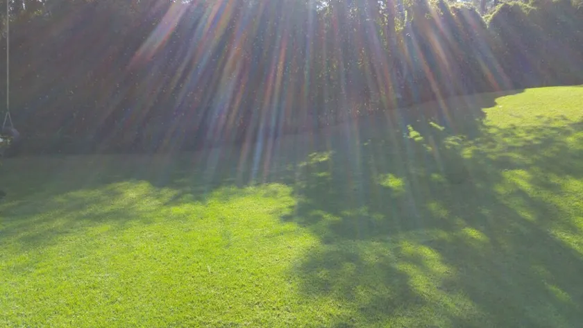 Excelent property, 2,000 m2 OF garden , the house has 900 m2 beautiful view   - Image 1
