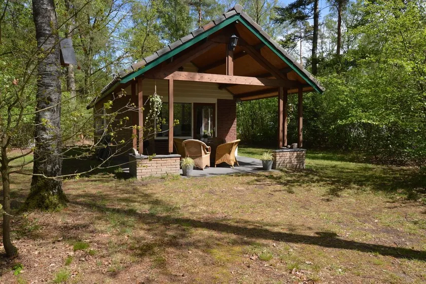 Retraite romantique en forêt avec sauna - Image 1