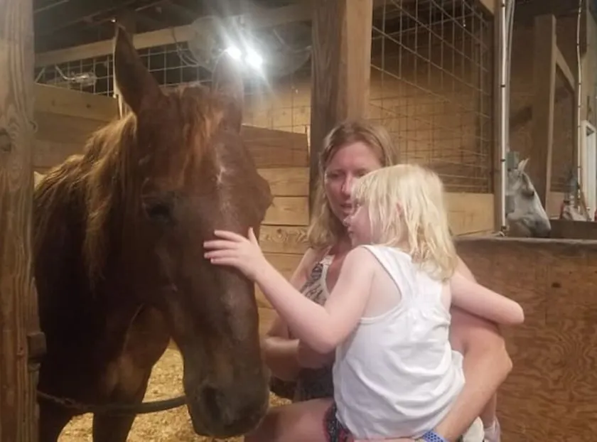 Horseback Riding Ranch Quality RV; Horses For All Ages and Levels on 25 acres! - Image 1