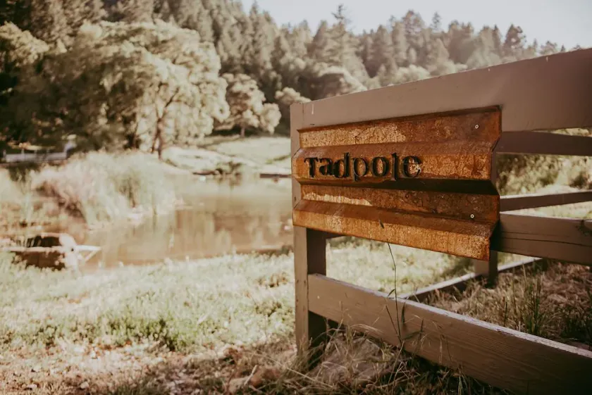 Tadpole Cottage - Image 1