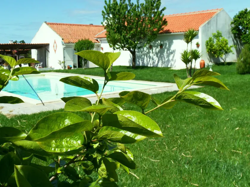 D'HÔTES- CAMERE BED & Breakfast- CAMERE DI HOSPEDES- NAZARÉ- ALCOBAÇA. - Image 1